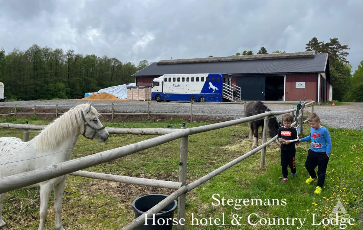 Stegemans Horse hotel & Country Lodge , Össjö, Sweden