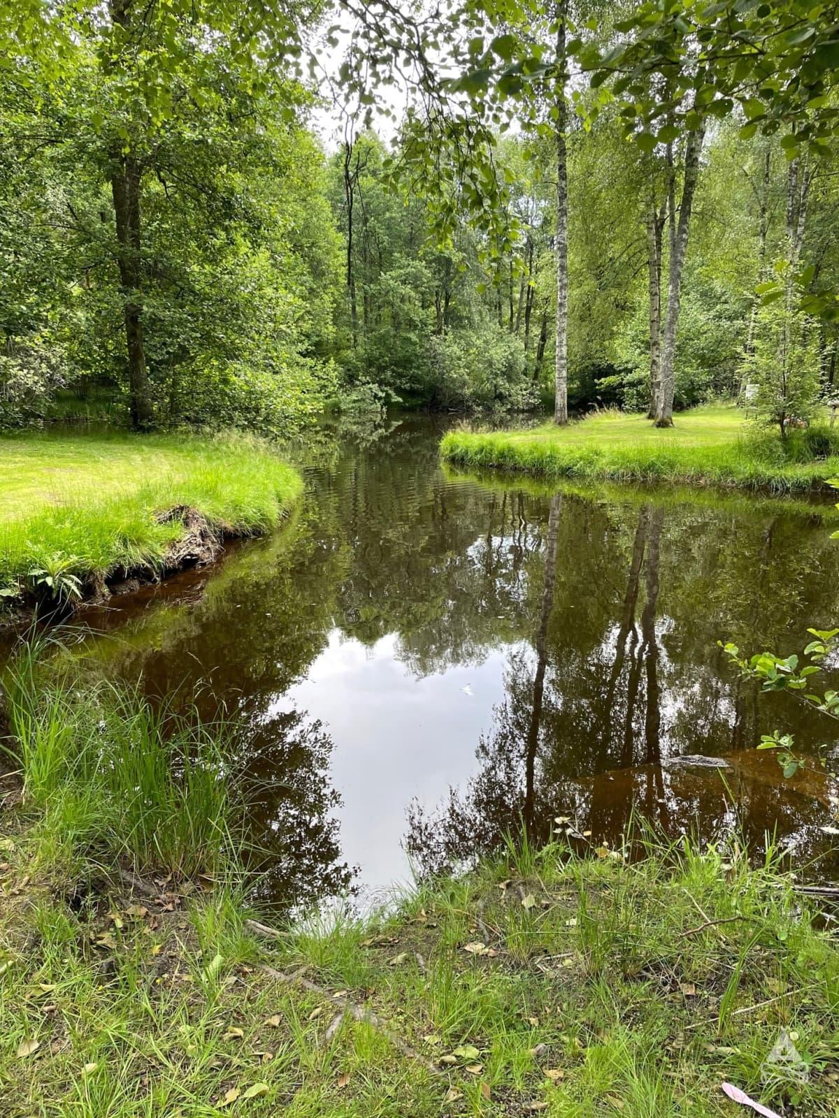 Svartabäck Natur, Älmeboda, Sweden