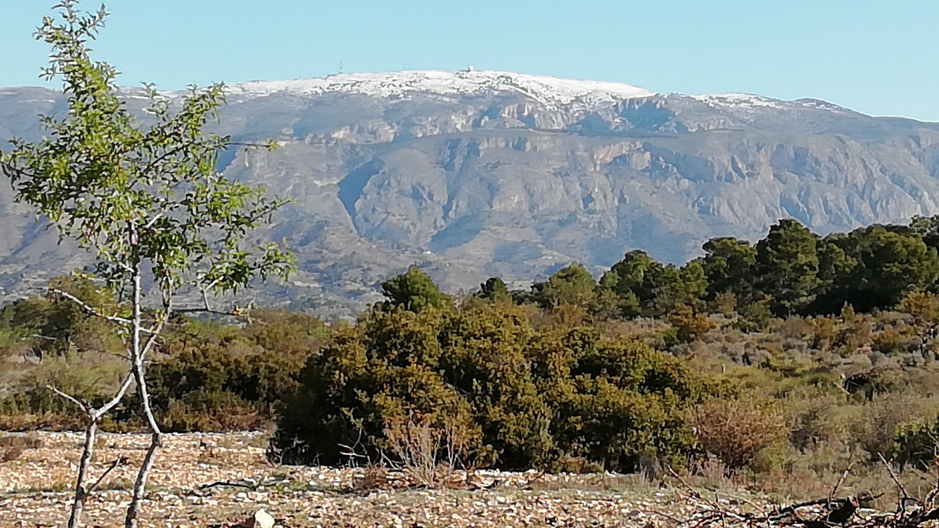 Cortes, Bella Orcheta, Spain