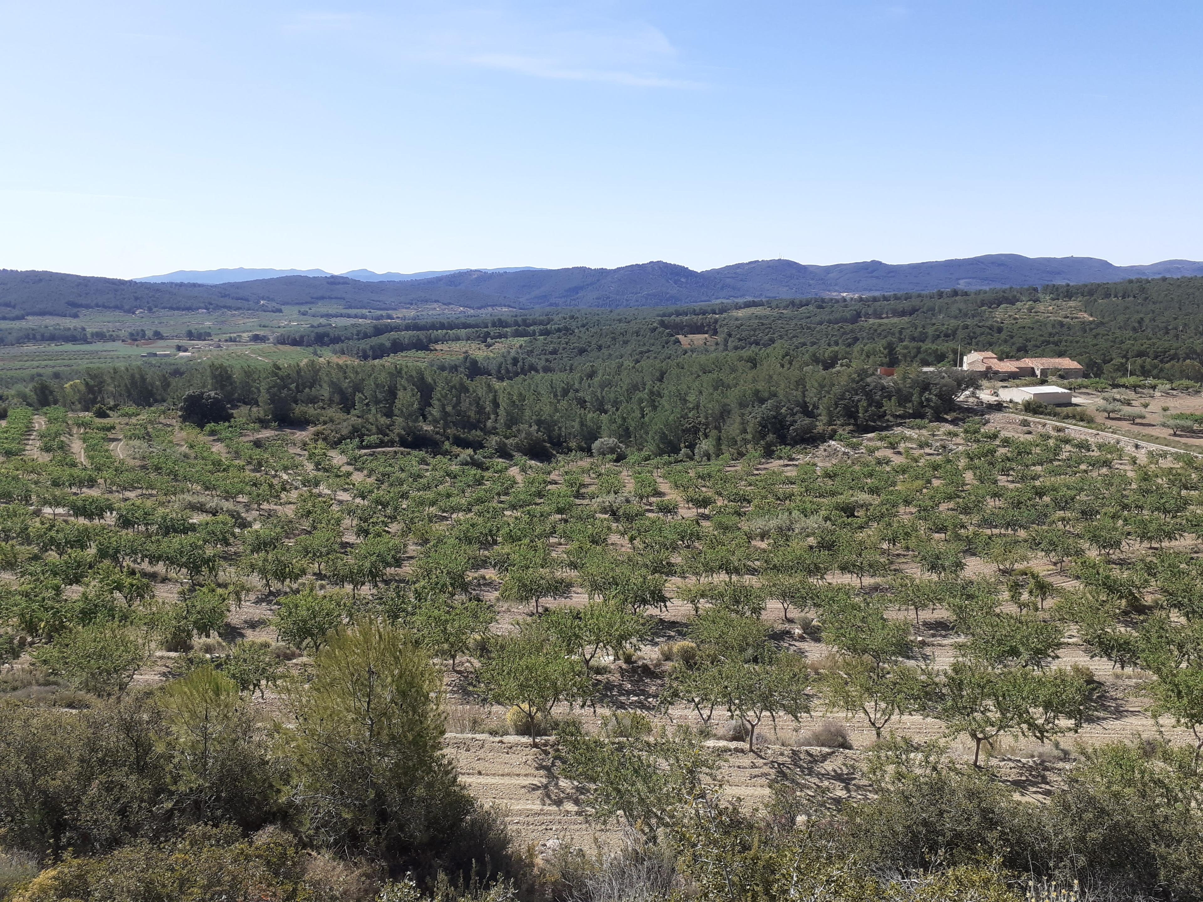 Preciosa masía en medio de la naturaleza , Atzeneta del Maestrat, Spain