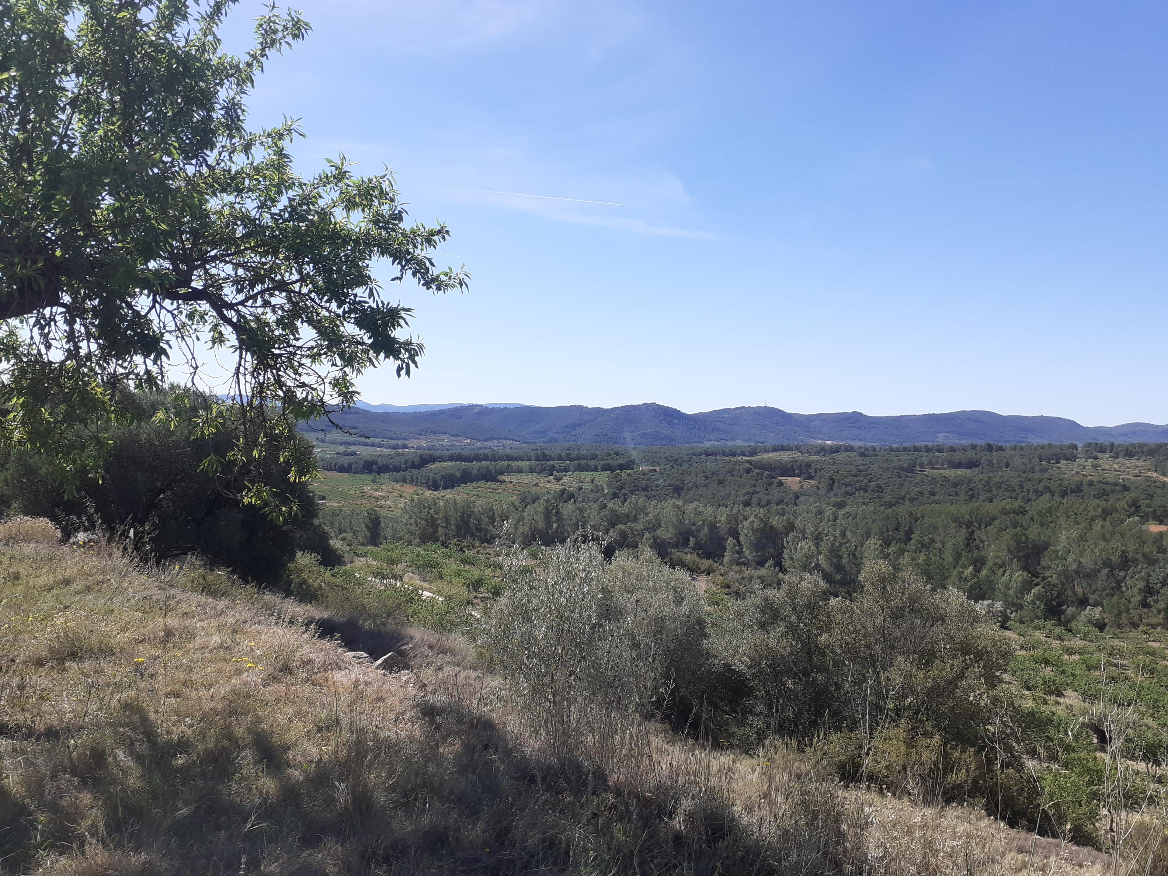 Preciosa masía en medio de la naturaleza , Atzeneta del Maestrat, Spain