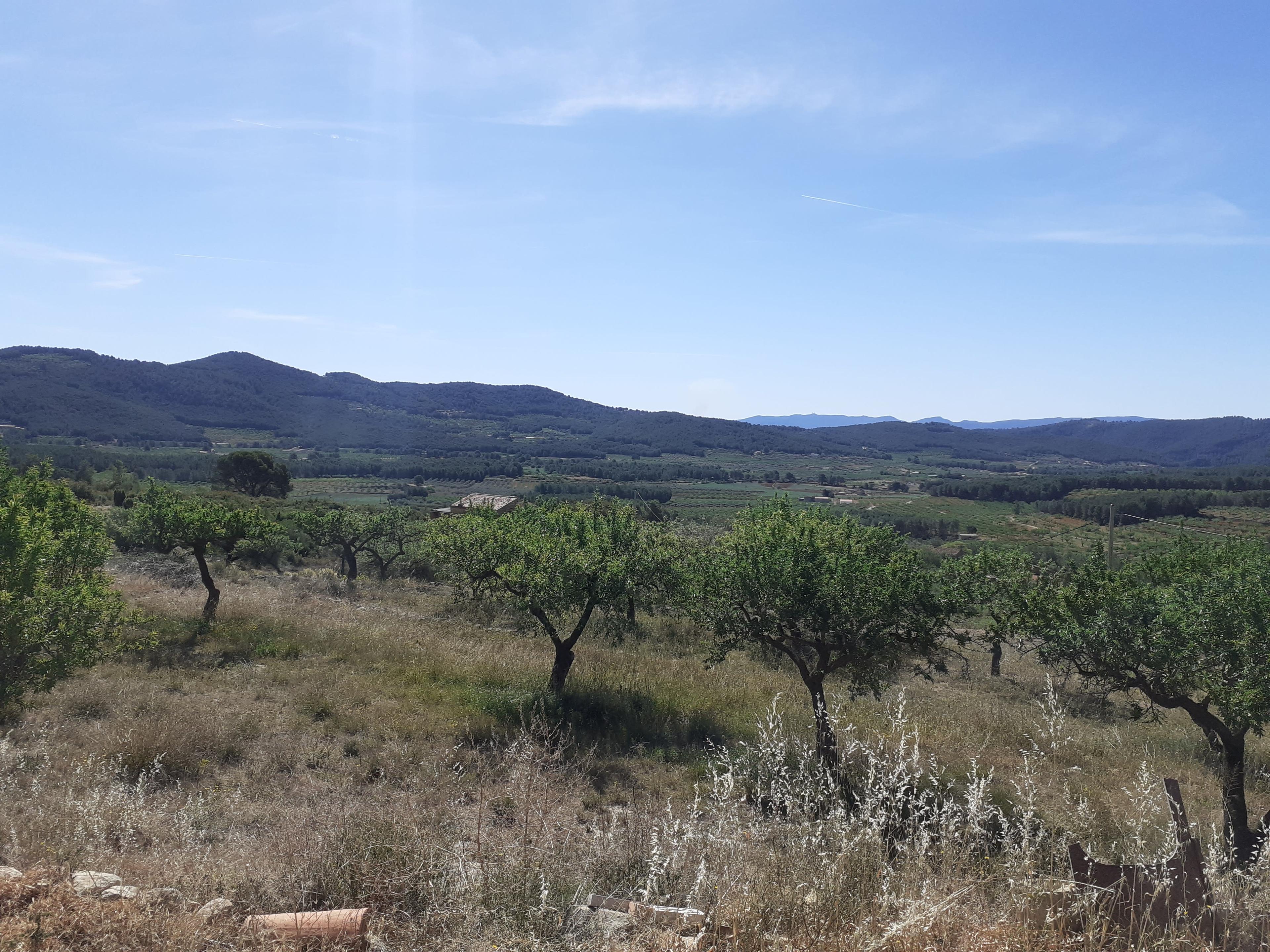 Preciosa masía en medio de la naturaleza , Atzeneta del Maestrat, Spain