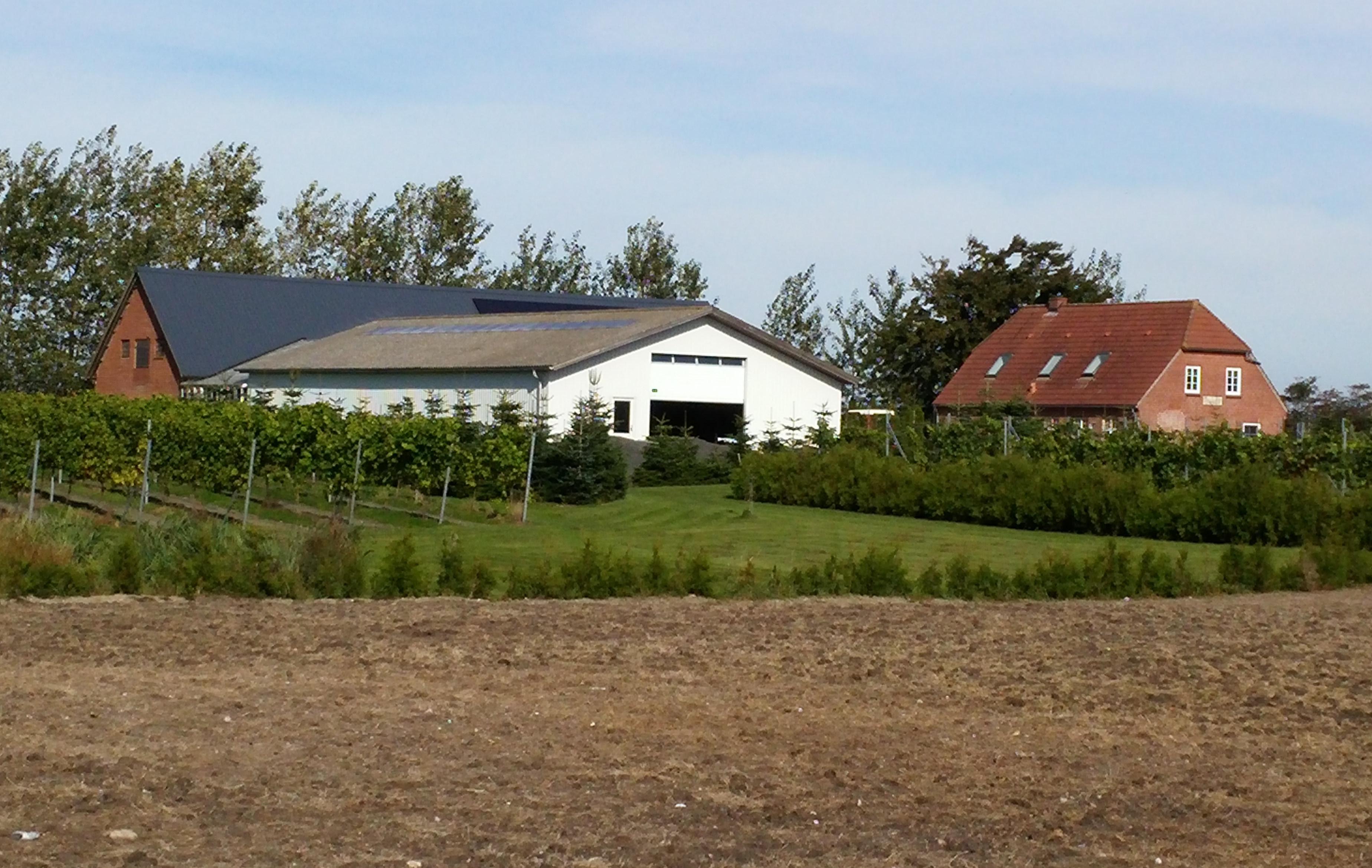 Frøkær Vingård, Vamdrup, Denmark