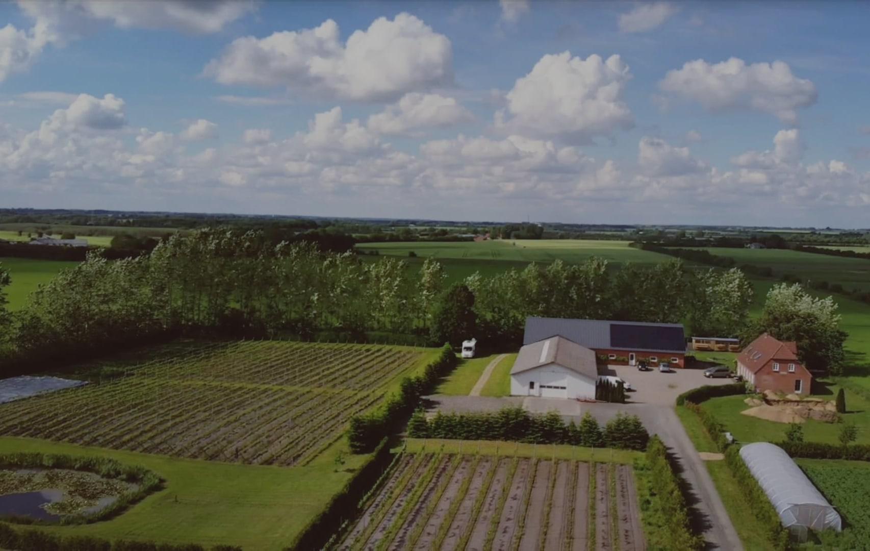 Frøkær Vingård, Vamdrup, Denmark