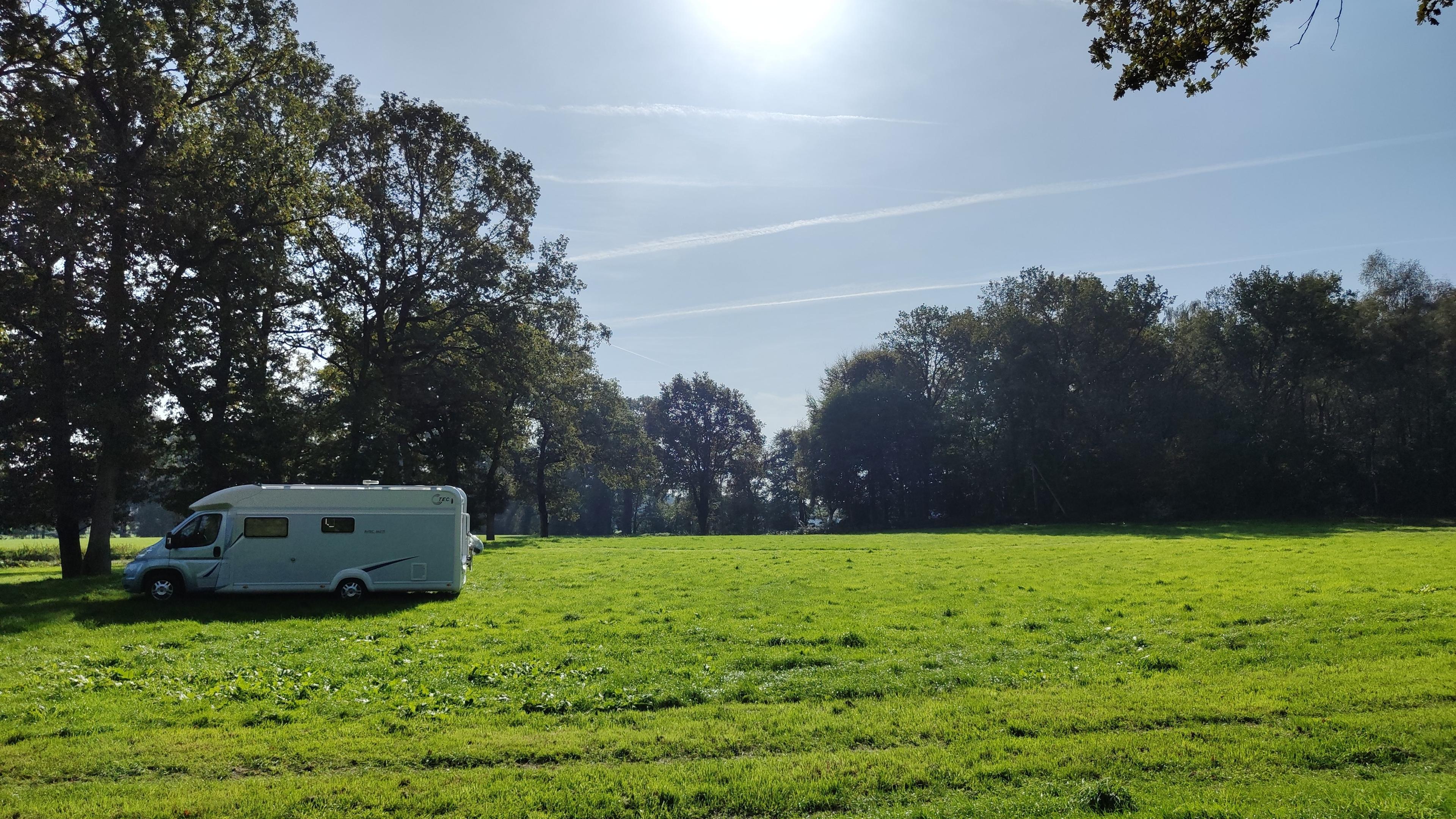 Kleine Weide unter Bäumen , Gölenkamp, Germany