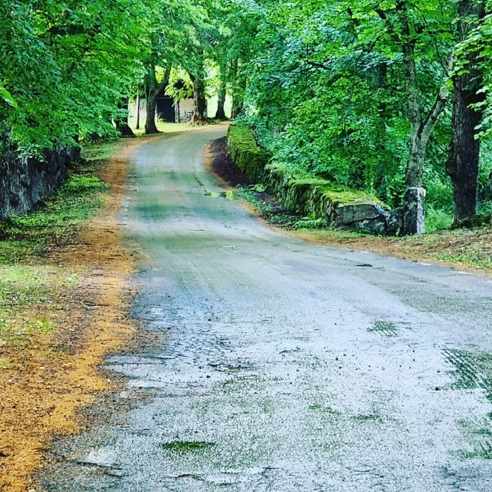 STF Kungsgården Långvind, Långvind, Sweden