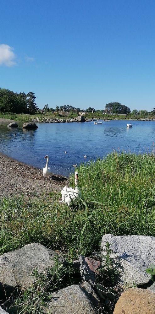 Omlidstranda Camping, Helgeroa, Norway